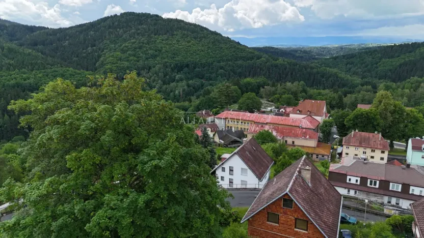 Prodej louky, Oloví, Horní, 420 m2