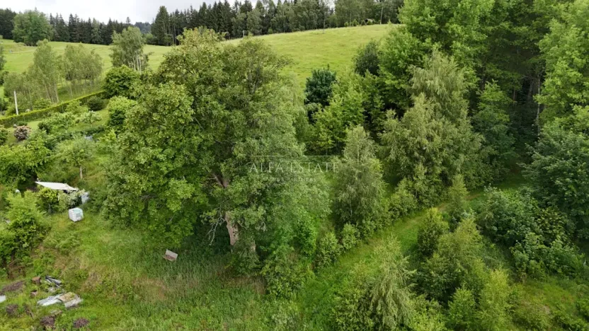 Prodej louky, Oloví, Horní, 420 m2