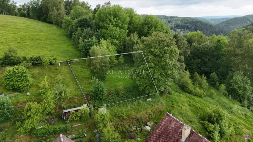 Prodej louky, Oloví, Horní, 420 m2