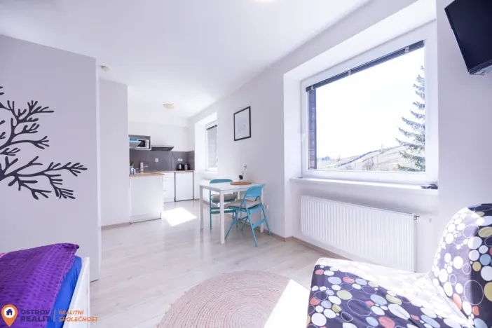Prodej apartmánu, Staré Město - Stříbrnice, 30 m2