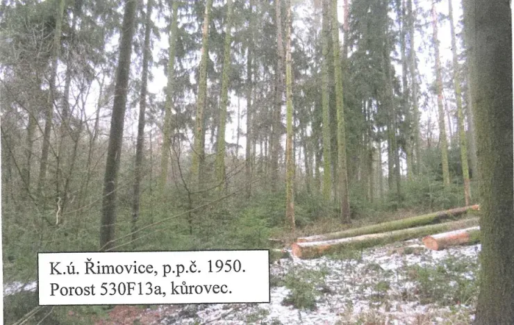 Prodej lesa, Řimovice, 522 m2