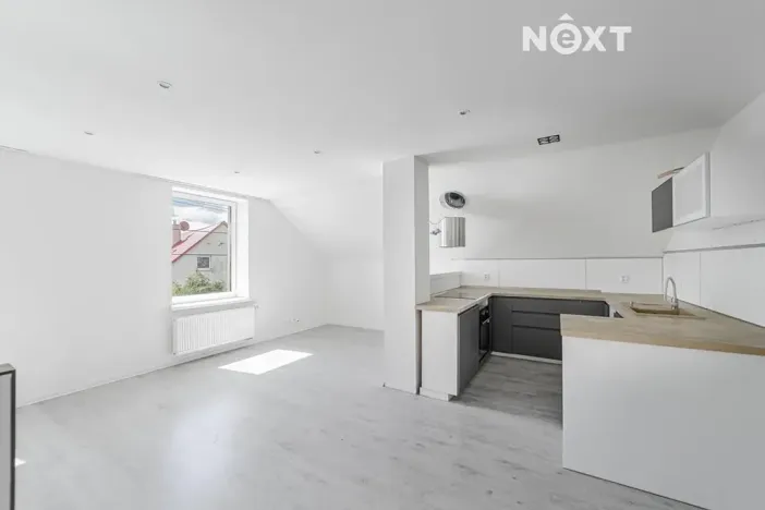 Prodej rodinného domu, Staré Město, Jamnická, 250 m2