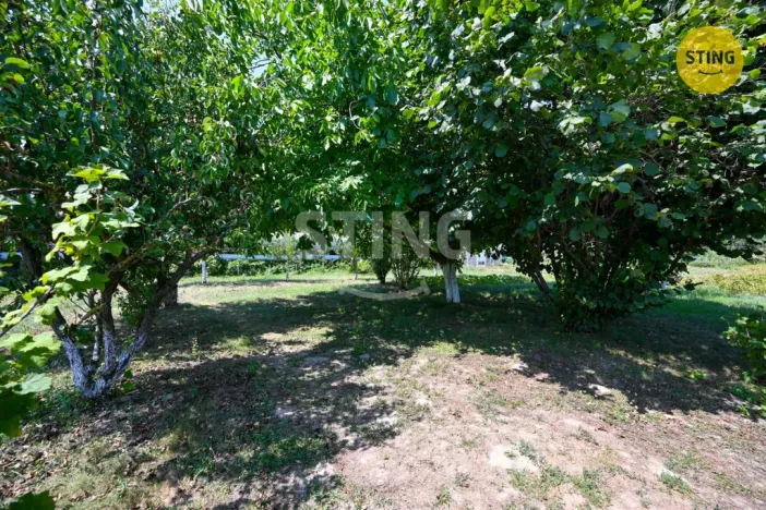 Prodej zahrady, Napajedla, 741 m2