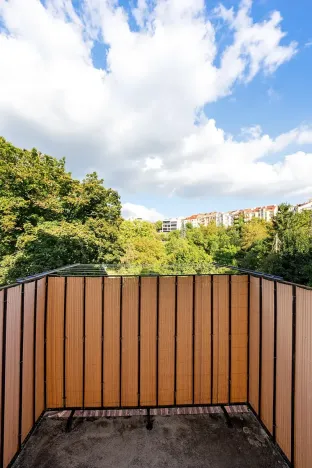 Prodej bytu 3+1, Brno, Drobného, 195 m2