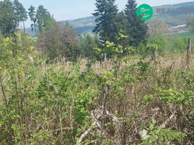 Prodej lesa, Spešov, 2317 m2