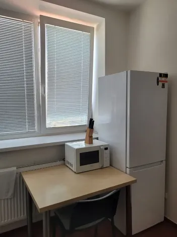 Pronájem pokoje, Brno, Vídeňská, 30 m2