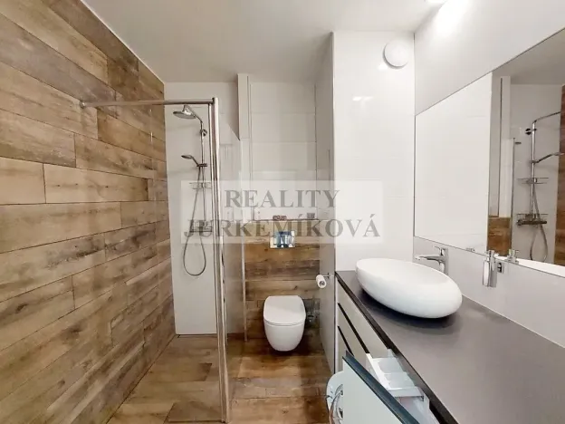 Pronájem bytu 2+kk, České Budějovice, U Lučního jezu, 46 m2