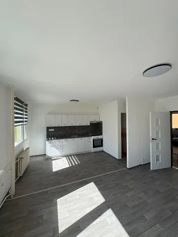 Prodej bytu 3+1, Bílina, Čapkova, 54 m2
