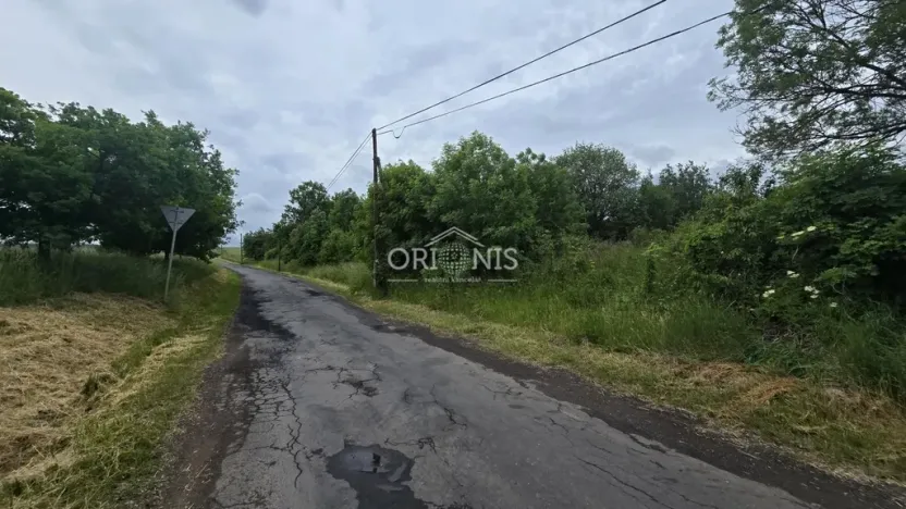 Prodej komerčního pozemku, Lubenec - Libyně, 8620 m2