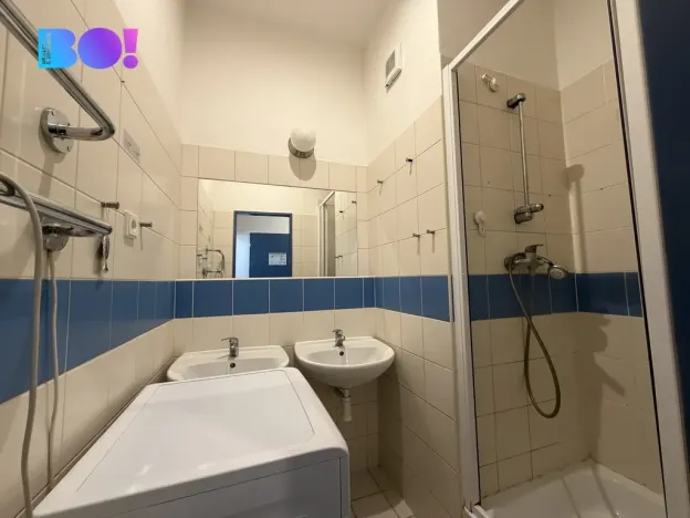 Prodej bytu 2+kk, Brno, Cejl, 32 m2