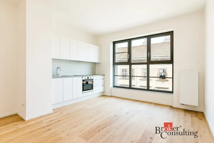 Pronájem bytu 1+kk, Brno - Zábrdovice, Bratislavská, 24 m2