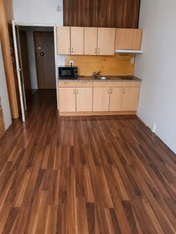 Prodej bytu 1+kk, České Budějovice - České Budějovice 2, Dlouhá, 27 m2