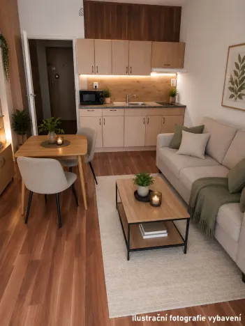 Prodej bytu 1+kk, České Budějovice - České Budějovice 2, Dlouhá, 27 m2