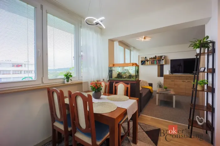 Prodej bytu 1+kk, Mladá Boleslav - Mladá Boleslav III, Jičínská, 39 m2