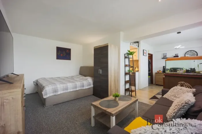 Prodej bytu 1+kk, Mladá Boleslav - Mladá Boleslav III, Jičínská, 39 m2