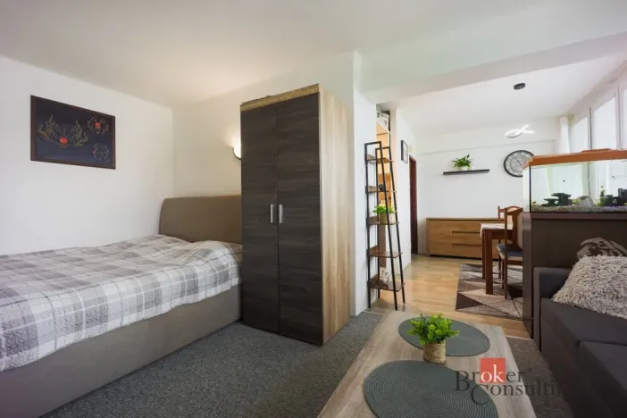 Prodej bytu 1+kk, Mladá Boleslav - Mladá Boleslav III, Jičínská, 39 m2