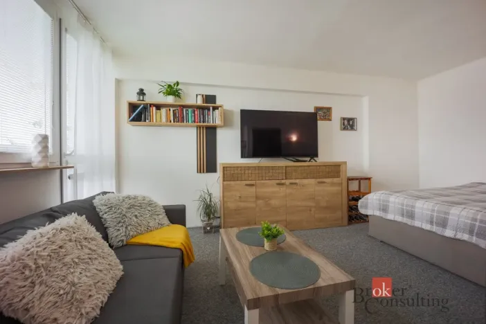 Prodej bytu 1+kk, Mladá Boleslav - Mladá Boleslav III, Jičínská, 39 m2