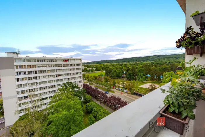 Prodej bytu 1+kk, Mladá Boleslav - Mladá Boleslav III, Jičínská, 39 m2