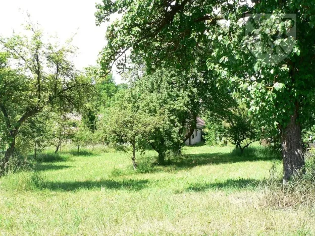 Prodej chalupy, Mladý Smolivec - Dožice, 130 m2