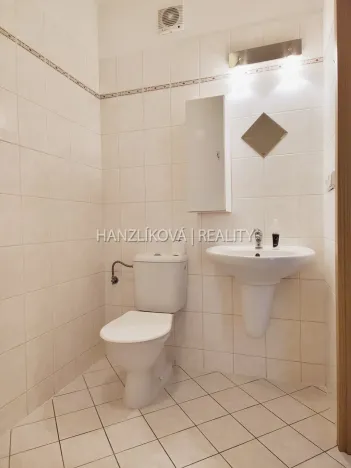 Pronájem bytu 1+kk, České Budějovice - České Budějovice 3, Riegrova, 30 m2