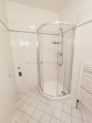 Pronájem bytu 1+kk, České Budějovice - České Budějovice 3, Riegrova, 30 m2
