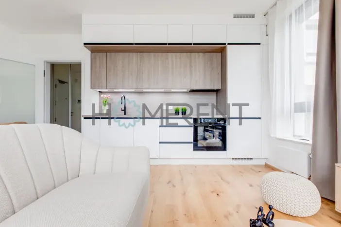 Pronájem bytu 1+kk, Praha - Nusle, Závišova, 30 m2