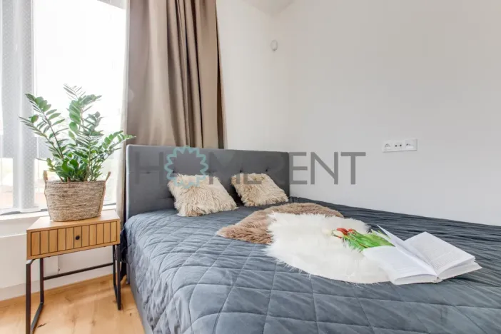 Pronájem bytu 1+kk, Praha - Nusle, Závišova, 30 m2