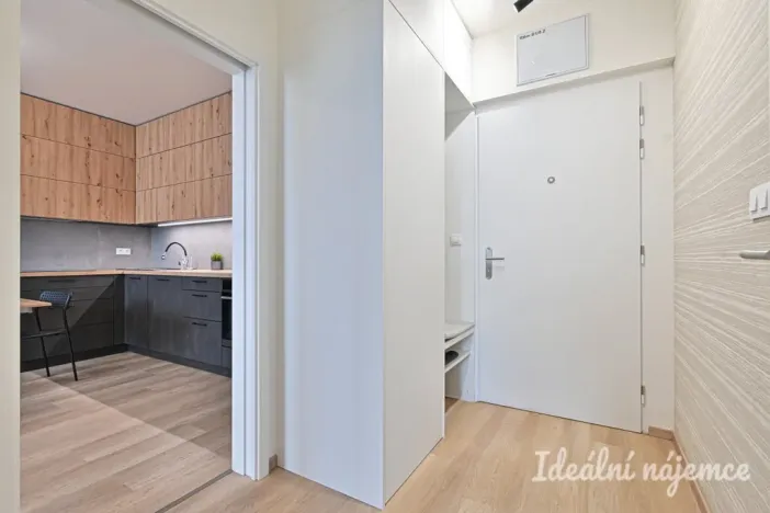 Pronájem bytu 2+kk, Brno - Trnitá, Placzkova, 51 m2