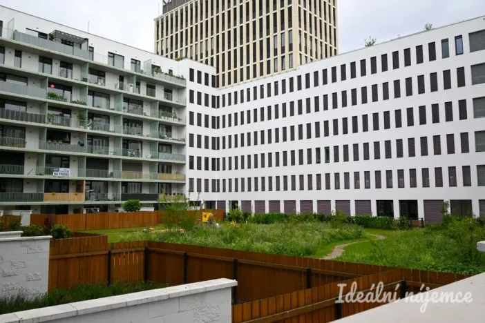 Pronájem bytu 2+kk, Brno - Trnitá, Placzkova, 51 m2