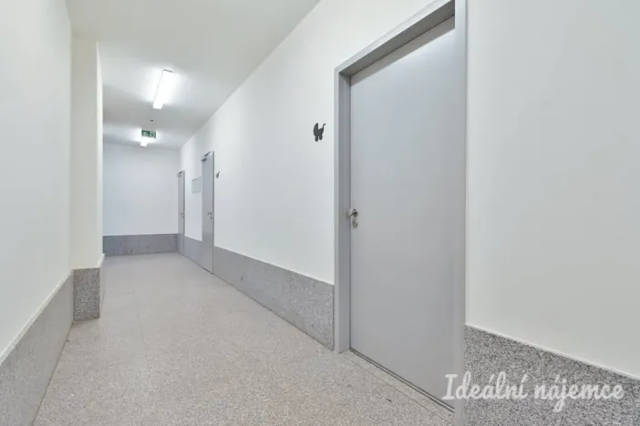 Pronájem bytu 2+kk, Brno - Trnitá, Placzkova, 51 m2