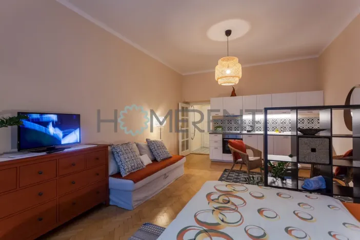 Pronájem bytu 1+kk, Praha - Nusle, Sekaninova, 35 m2