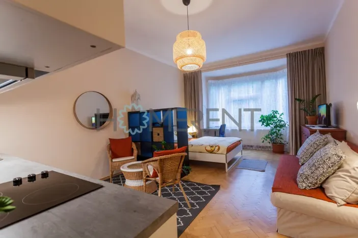 Pronájem bytu 1+kk, Praha - Nusle, Sekaninova, 35 m2