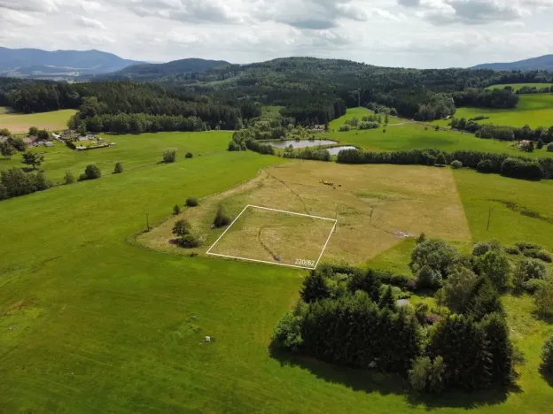 Prodej pozemku pro bydlení, Česká Kubice - Starý Spálenec, 2459 m2
