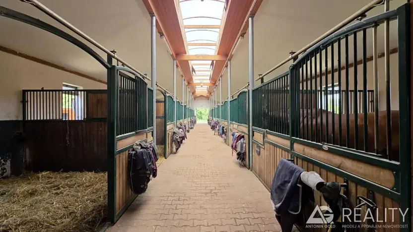 Prodej zemědělského objektu, Úžice, 5128 m2