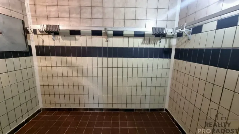 Pronájem obchodního prostoru, Moravský Krumlov, 70 m2