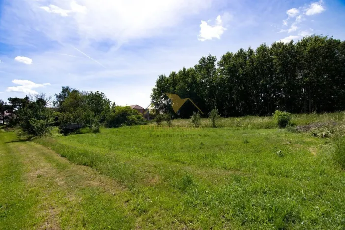 Prodej pozemku, Hrabětice, Hrušovanská, 2783 m2
