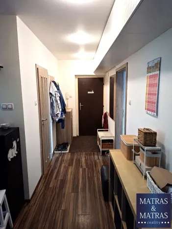 Prodej bytu 2+kk, Brno, Renneská třída, 67 m2