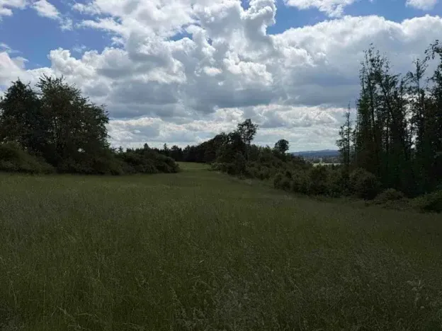 Prodej chaty, Hybrálec, 50 m2