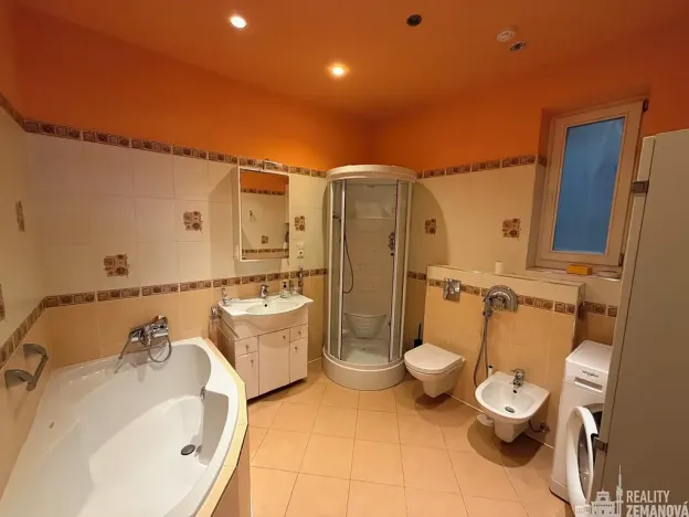 Pronájem bytu 4+kk, Praha - Vinohrady, Řipská, 135 m2