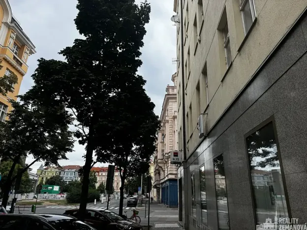 Pronájem bytu 4+kk, Praha - Vinohrady, Řipská, 135 m2