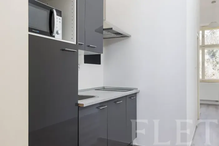 Pronájem bytu 1+1, Praha - Holešovice, Kamenická, 40 m2