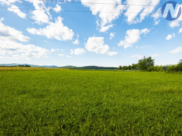 Prodej pozemku pro bydlení, Brloh - Rojšín, 1291 m2