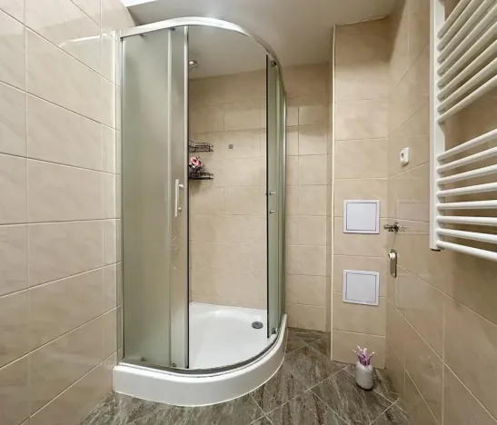 Pronájem bytu 2+kk, Plzeň, Mánesova, 43 m2