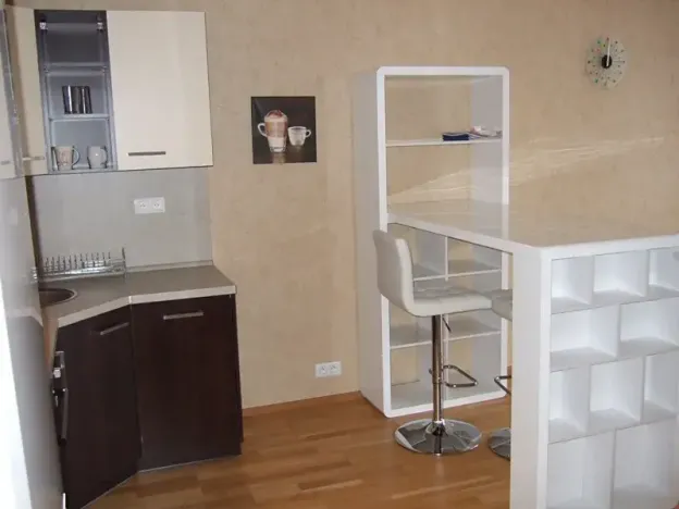 Pronájem bytu 1+kk, Praha - Vinohrady, Korunní, 45 m2