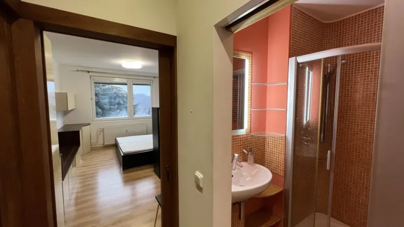 Pronájem bytu 1+1, Zlín, Větrná, 34 m2