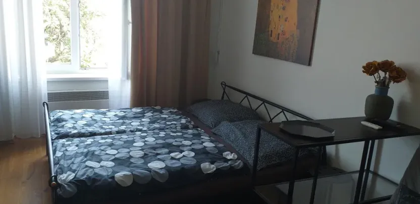 Pronájem bytu 1+1, Praha - Žižkov, Seifertova, 35 m2