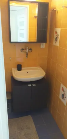 Pronájem bytu 1+1, Praha - Žižkov, Seifertova, 35 m2