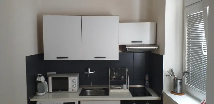 Pronájem bytu 1+1, Praha - Žižkov, Seifertova, 35 m2