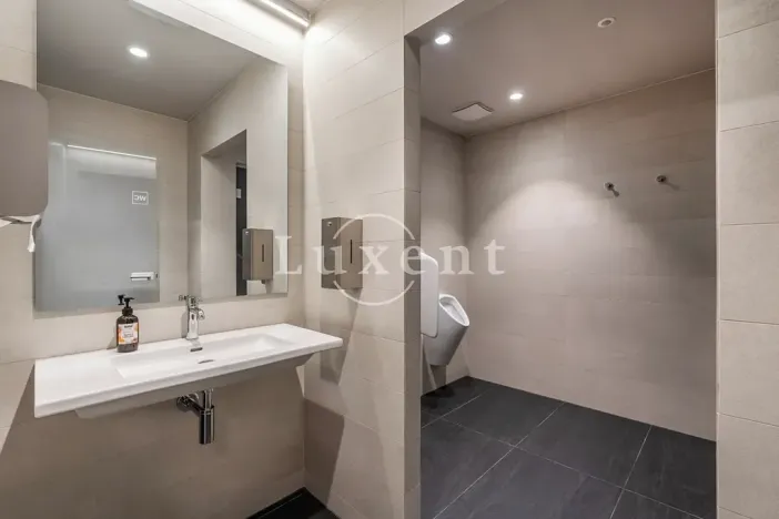 Pronájem bytu 2+kk, Praha - Smíchov, Holečkova, 72 m2