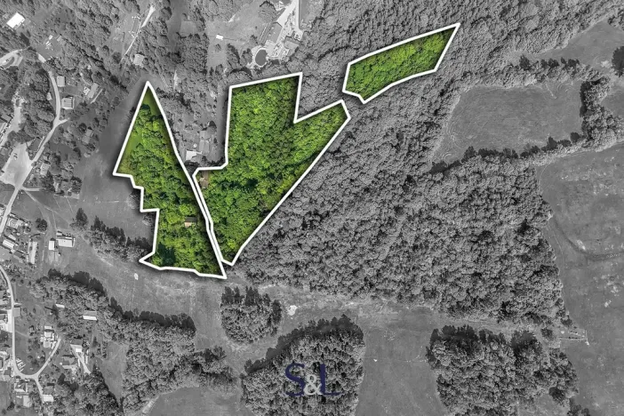 Prodej podílu pozemku pro bydlení, Zlatá Olešnice, 27729 m2
